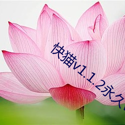 快(快)猫v1.1.2永(永)久vip破(破)解版