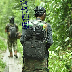 延禧攻略(略)全(全)集(集)