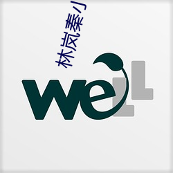 林岚秦小雅