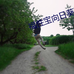 福性宝向日葵