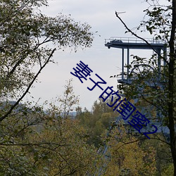 妻(妻)子的闺(閨)蜜2