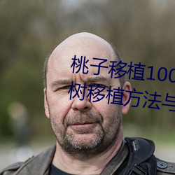桃子移植100款黄油游戏直装(桃树移植方法与黄油游戏推荐)