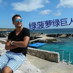 绿菠萝绿巨人导航