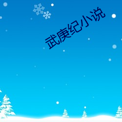 武庚(庚)纪小说