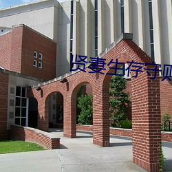 贤妻生存守则