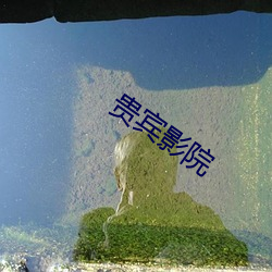 贵宾影(yǐng)院