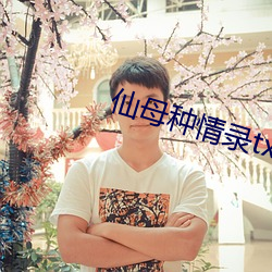 仙母种情录txt （真主）