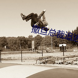 撒旦(旦)总裁追逃妻