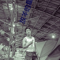 放羊的星星2
