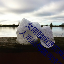 女用假阴茎阳具超大粗自动抽插高潮工具成人用品情趣男性生