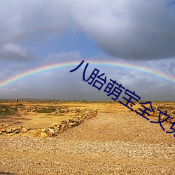 八胎(胎)萌(萌)宝(寶)全文免费阅读