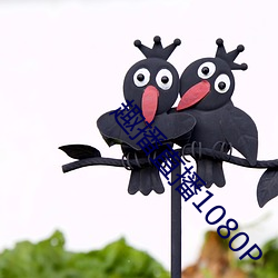 趣播直播1080P ��细润）