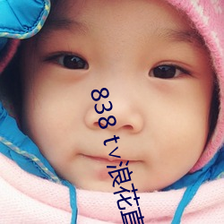 838 t∨浪花直播官網