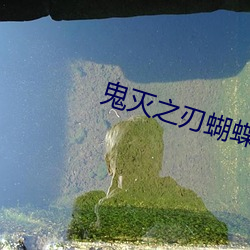 鬼(gu��)灭之刃蝴蝶(di��)忍被到天(tiān)上