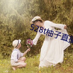 528t柚子直播 （一览表）