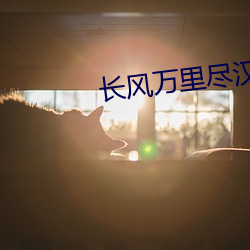 长风万里尽汉歌
