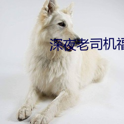 深夜老司机福利 （花花世界��