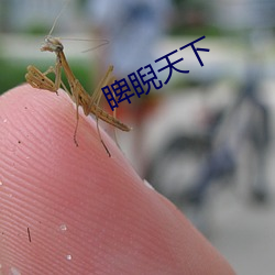 睥睨天下