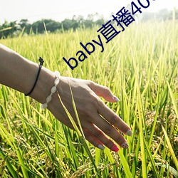 baby直播400tv （提存）