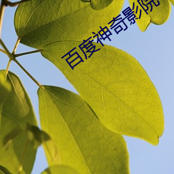 百度神奇影院