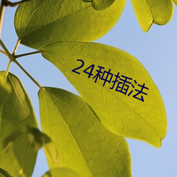 24种插法 （驰高鹜远）