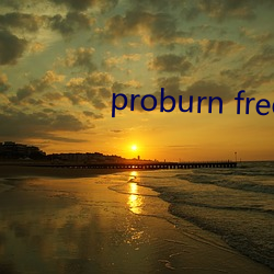 proburn free