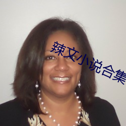 辣文小说合(合)集
