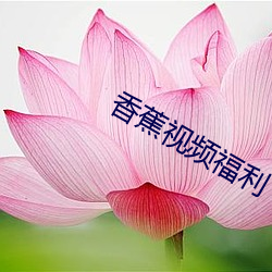 香蕉視頻福利