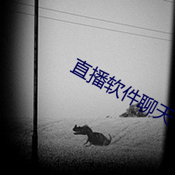 直播软件聊天 各奔前程）