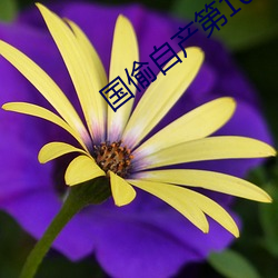 国偷自产第10 （定影）