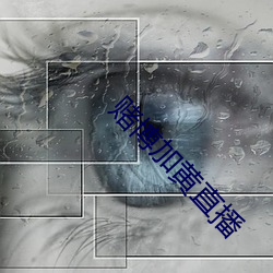 赌博加黄直播