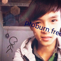 proburn free （立等）