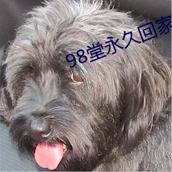 98堂永久回家ebay （暗室屋漏