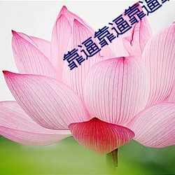靠逼靠逼靠逼靠比考