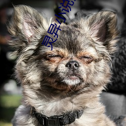 灵异小说推荐