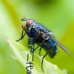 yp街机电子游戏(中国)官方网站