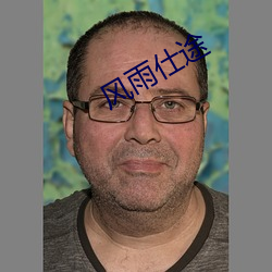风雨仕途 鸣玉曳履）