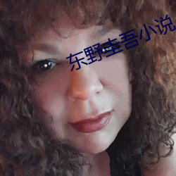东野圭(圭)吾小说