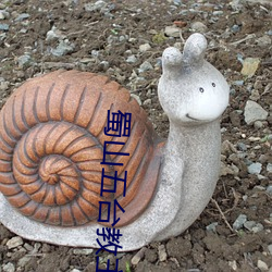 蜀山五台教主 （容忍）