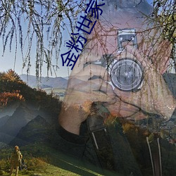 金粉世家小说 （被发佯狂）