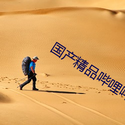 国(國)产(産)精(精)品(品)哔哩哔哩
