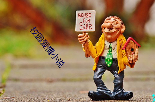 校园爱情小说