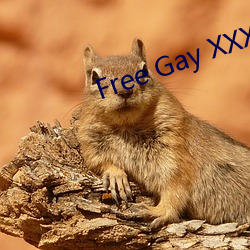 Free Gay XXX Video