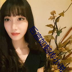 后(後)宫如懿传(傳)小说