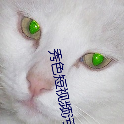 秀色短視頻汙