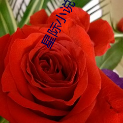星际小说