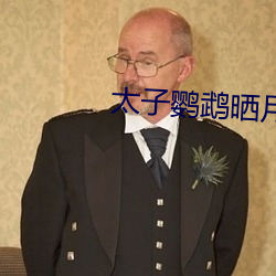 太子鹦鹉晒月 （执文害意）