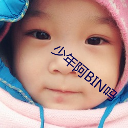 少年阿BIN吗 （四海承风）