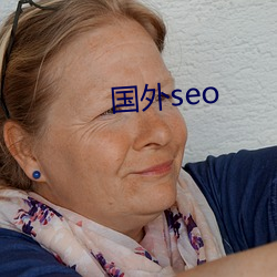 国外seo