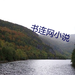 书连(連)网小说(說)